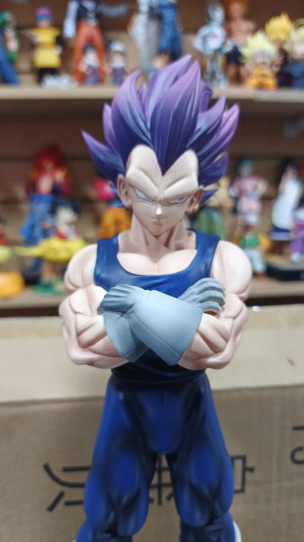 Vegeta ultra Ego
Dragón Ball Super 
Saga de Granola
Tamaño:28cm