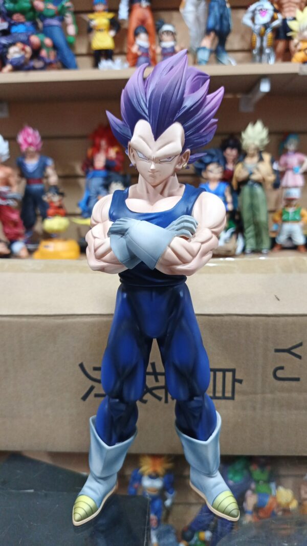 Vegeta ultra Ego
Dragón Ball Super 
Saga de Granola
Tamaño:28cm