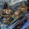 Gremlins 🕷️ arañas
Gremlins 
Tamaño:29cm
Original de la marca neca