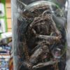 Dog alien ORIGINAL NECA 
Alien3
Original