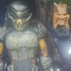 FUGITIVE PREDATOR
Predator
Tamaño:18cm
Original